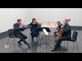 Wiener Symphoniker - HABE-Quartett Wien | Secession - Beethoven