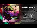 James Primate | Quanda | Rain World (Ambients and Instrumentals)