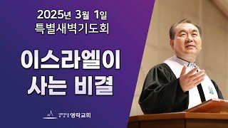 2025년 3월 1일 \