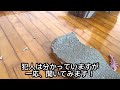 保護猫 いたずらして叱られても反省しない猫のリアクションがこちらです😂 いたずら猫 猫アレルギーが猫を飼う 保護猫