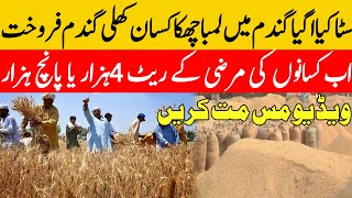Wheat price in Pakistan 2024/wheat price in punjab 2024 gundam