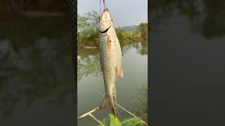 আজ গেলাম দাদা দের পুখুরে মাছ ধরতে 🐟😃 #minivlog #vlogs #fishing