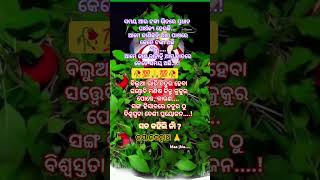 ସତ କହିଲି ନାଁ?.....#viralshort #odiamotivational #odiasong #subscribe #ଜୟ_ଜଗନ୍ନାଥ 🙏