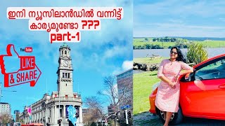 ഇനി NewZealand choose ചെയ്യണോ ?? Part-1