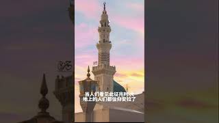 赶快信仰Allah吧！#古兰经 #穆罕默德 #伊斯兰