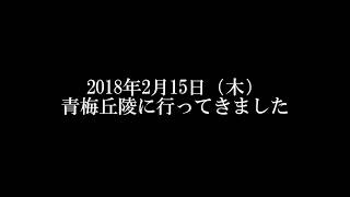 【2018年】青梅丘陵に行ってきました【初登山】