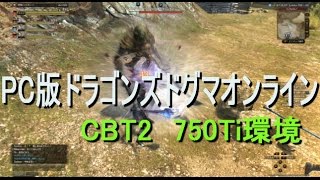 【ドラゴンズドグマオンライン】PC版でやってみた【CBT2】