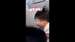 【一直吸貓一直爽】萌娃臉埋貓姐背後聞味道～ #Shorts @funny_videos