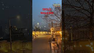 Seoul Korea#한양도성길#낙산구간#혜화문#낙산공원#흥인지문까지