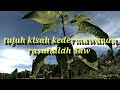 tujuh kisah kedermawanan rasulullah saw