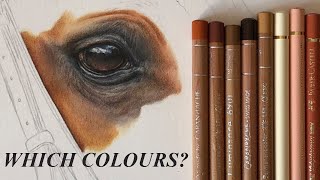 WHICH COLOURS SHOULD YOU USE FOR YOUR PENCIL PORTRAITS? (REAL TIME Draw With Me)
