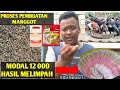 Tips Budidaya Manggot BSF dengan Yakult dan Royco || Manggot Pakan Ayam Alternatif