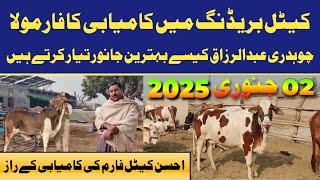 💥 Ahsan Cattle Farm Secrets: Elite Bull and Cow Breeding Tips🐂