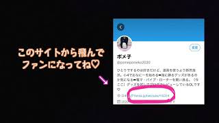 ポメ子の隠れ家