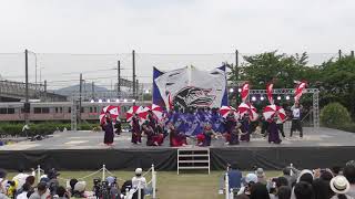 飃〜FREEDOM〜（G.L.O.R.Y.）  2019.6.2犬山踊芸祭 メイン会場