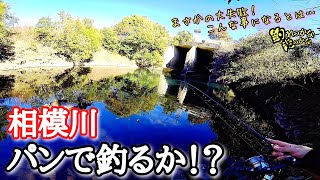 【相模川1日目】スピニング1本持って！　バスロッドで遊ぶ　パンで狙うのは定番のアレ