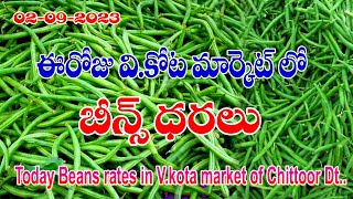 2.9.23 చిత్తూరు జిల్లా వి.కోట మార్కెట్ లో బీన్స్ ధరలు/Today Beans Rates in VKota Market Chittoor Dt