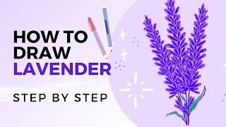 How to Draw Lavender: Easy Step by Step Tutorial