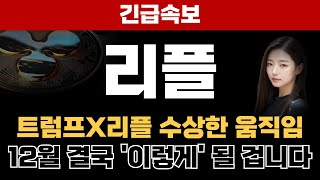 [리플 전망] 트럼프X리플 수상한 움직임 12월 결국 이렇게 될 겁니다