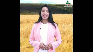 SHREEMAY AGRI SEEDS company profile M - 9429444963. #seeds #farming #agriculture #farmer #hybrid.