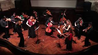 Sibelius, Romanze in C Op.42 - Nova Chamber Orchestra