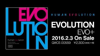 〔EVO+〕1st ALBUM -EVOLUTION- XFD 〔2016/2/3 〕