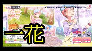 【ごとぱず】ゴールデンウィーク最後の花見ガチャ！！！