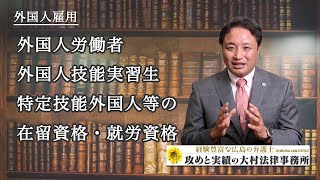 外国人労働者、外国人技能実習生、特定技能外国人等の在留資格・就労資格