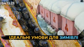 Створюємо ідеальні умови у вулику, для успішної зимівлі. Частина 1.