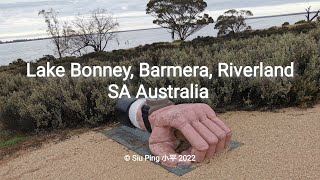 Lake Bonney, Barmera, Riverland SA Australia