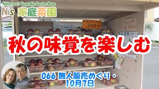 066 無人販売めぐり・10月7日