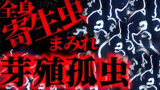 目も脳も金玉も寄生虫まみれ...日本最悪の寄生虫の正体とは...