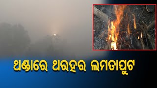 ଥଣ୍ଡାରେ ଥରହର ଲମତାପୁଟ | Odisha Reporter