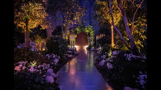 Before and after - transformation of the ballroom into a forest