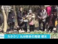 カタクリの花　“万葉の山”の斜面一面に　栃木 17 03 25