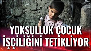 Yoksulluk Çocuk İşçiliği Tetikliyor | Haber 11 | 04.09.2020