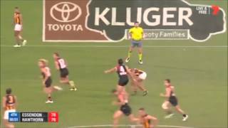 Essendon vs Hawthorn final 2 minutes Round 2 2015 - Triple M Commentary