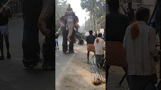 *ലെ ആന റോഡിലാണോടാ കരിമ്പ് കച്ചവടം|Elephants stopped sugarcane trade😳🤪 elephant attack