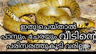 ഞങളുടെ വീട്ടിൽ വന്ന പാമ്പിനെയും ചേരയെയും ഞങ്ങൾ ഒഴിവാക്കിയത് ഇങ്ങനെ