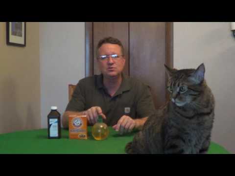 How To Remove Skunk Smell From a Dog or Cat How To Remove Skunk Smell From a Dog or Cat