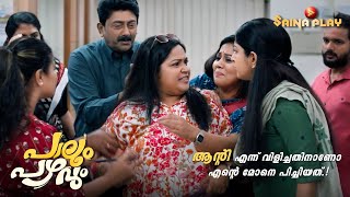 എന്താ സ്ത്രീയേ ഒന്ന് ആന്റി എന്ന് വിളിച്ചതിനാണോ എന്റെ മോനെ പിച്ചിയത്.!| Paalum Pazhavum |