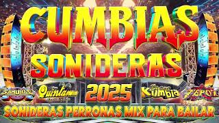 ⚡LAS MEJORES CUMBIAS SONIDERAS 2024-2025 MIX😎CUMBIAS SONIDERAS MUSICA ✨GRUPO QUINTANNA,TEPOZ Y MÁS🎶