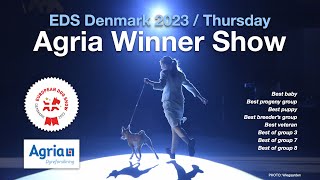 EDS - Agria Winner Show 2023 - Thursday