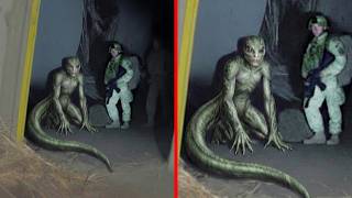 Unidentified Creatures Filmed That Experts Cannot Explain