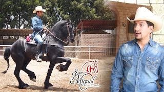 🐴 CLUB ECUESTRE SAN MIGUEL y DIEGO SILVA