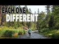 This Spring Creek Has the Most Unique Trout I've EVER Seen (Tenkara Fly Fishing)