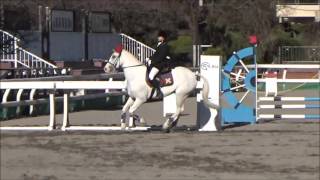 2015.12.19 第51回関東高等学校自馬競技大会 第1競技 部班馬場馬術競技 草野恭子 アラデールオラフ号