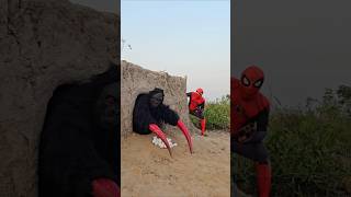 Brave Spider-Man Confront Gorilla Monster