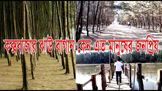 কক্সবাজার ঝাউ বাগান কেন এত মানুষের জনপ্রিয় চলন এই ভিডিওতে ঘুরে দেখে আসি।