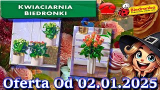 🌸Biedronka🐞Kwiatowe Inspiracje Od 02.01.2025 – Tanie Kwiaty Dla Ciebie!